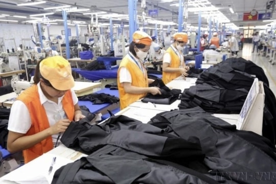 Textile-garment production chain goes green to meet export standards