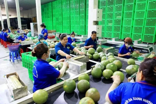 Fruit, vegetable exports expected to hit record in 2024