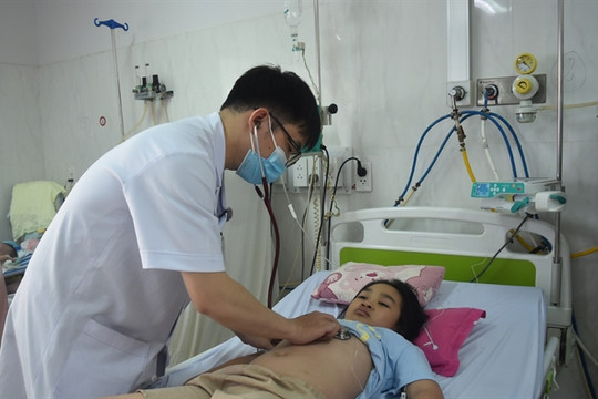 Rising dengue fever cases led to several deaths across Việt Nam