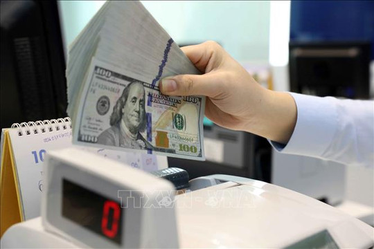 Tỷ giá hôm nay 22/8: Giá USD đi lên