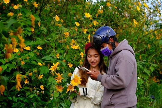 Đà Lạt Flower Festival slated for nearly one month