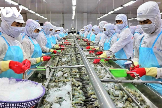 Vietnam represents third largest seafood exporter globally