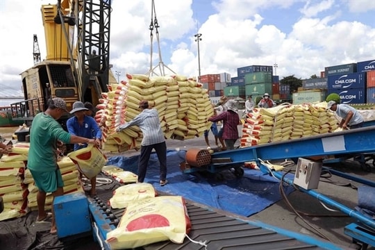 Opportunity for Vietnam as Indonesia increases rice tender volumes