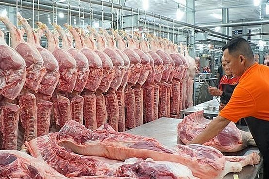 Giá lợn hơi hôm nay (29-8): Cao nhất 67.000 đồng/kg