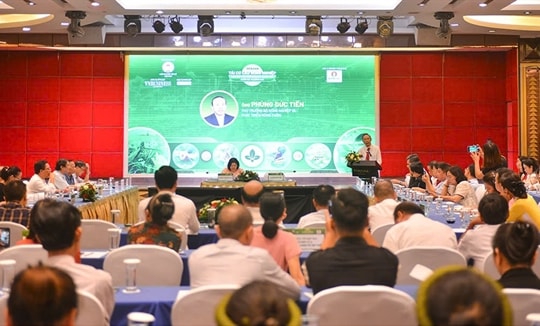 Cooperatives should further participate in value chains: experts