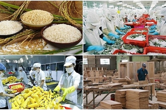 Vietnam, US expedite progress in opening agricultural markets