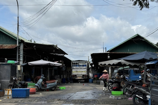 Nổ súng vào quán cà phê, hai vợ chồng ở Đồng Nai nguy kịch