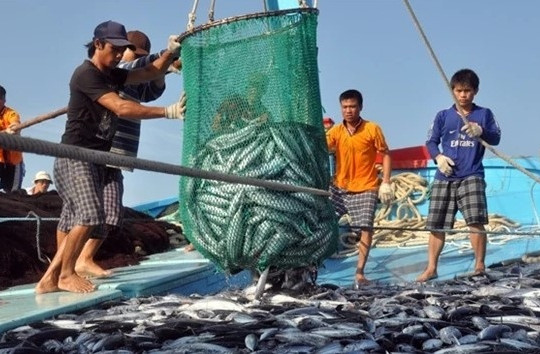 Tightening regulations and limited marine farming may impact exports