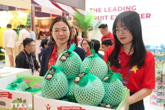 Vietnamese vegetables, fruits promoted at Asia Fruit Logistica