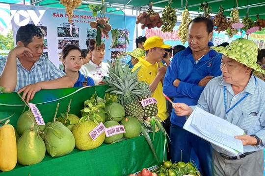 Vietnam Fruit Festival to be held in China