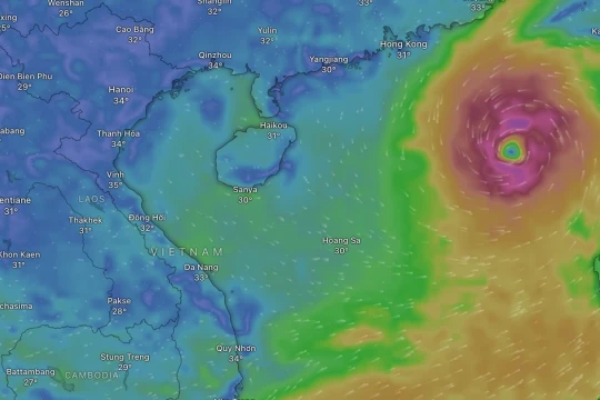 Bão số 3: Cảnh báo khẩn cấp được gửi tới hàng triệu người dân qua Zalo