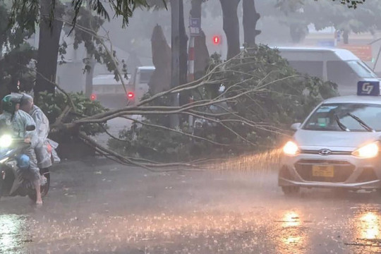 Cập nhật ảnh hưởng bão Yagi: Hà Nội mưa giông lớn, ùn tắc nghiêm trọng, cây đổ ngổn ngang, 1 người tử vong