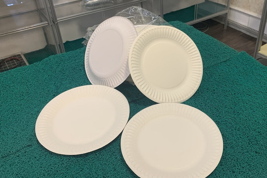 US issues preliminary conclusions on anti-dumping probe into local paper plates