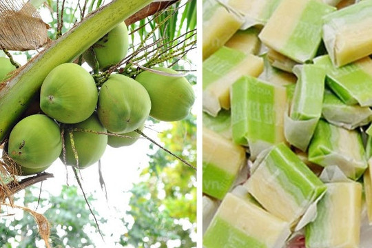 Ben Tre coconut candy listed among world’s 70 best rated confectioneries