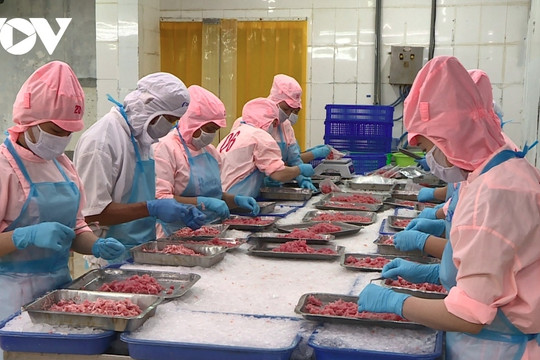 Vietnamese seafood exports hit US$6.3 billion during eight-month period