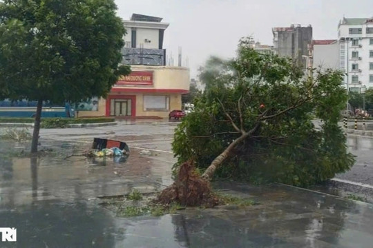 Chính phủ lập Bộ Chỉ huy tiền phương ở Hải Phòng để chống bão Yagi