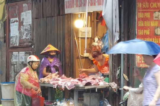 North-eastern region, including Hà Nội, predicted experience heavy rainfall, strong winds since midday