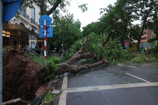 At least 14 killed, 176 injured by super typhoon Yagi