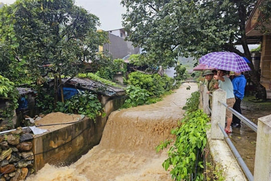 Landslide kills six including infant in Sa Pa Town