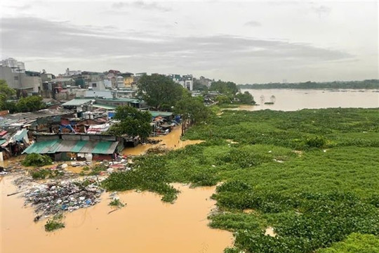 Rapid rise of Hồng River triggers flooding in Hà Nội riverside communities