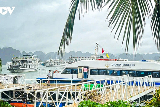 International tourists return to Ha Long Bay after Yagi dissipates