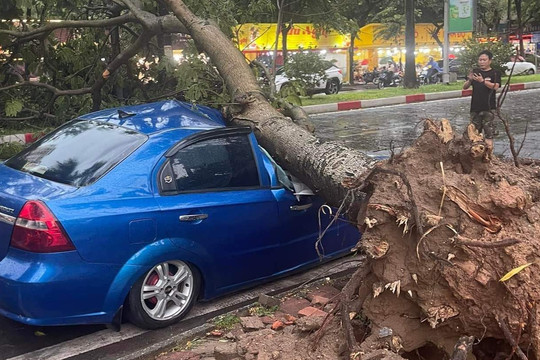 Kinh nghiệm bảo vệ ô tô trước những cơn bão lớn như Yagi