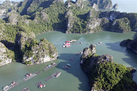 Hạ Long Bay – Cát Bà Archipelago honoured among global geological heritage for second time