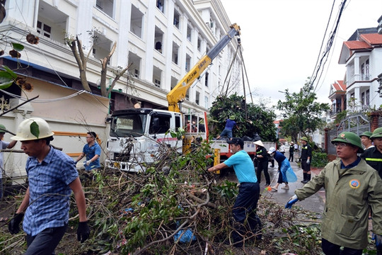 Hạ Long ready to welcome tourists back after Typhoon Yagi