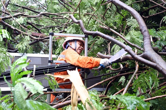 Efforts underway to restore power supply to Typhoon Yagi impacted regions

