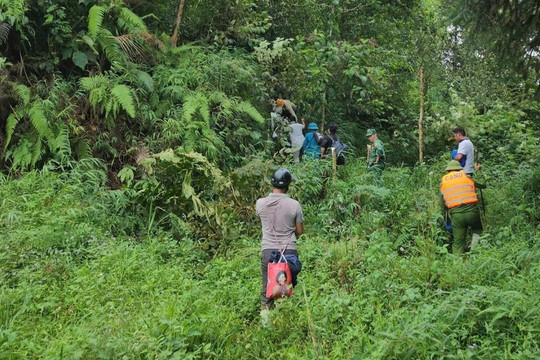 Sản phụ Lào Cai đi bộ 40km đường rừng tới bệnh viện sinh con