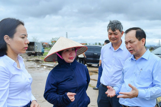 Nghìn tỷ bay theo bão, chủ lồng Quảng Ninh mong ngân hàng cho vay làm lại từ đầu