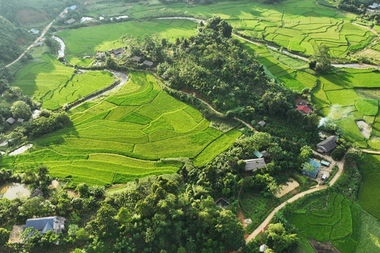 Từ nỗi đau chưa thể nguôi ngoai đến ấp ủ về một Làng Nủ mới