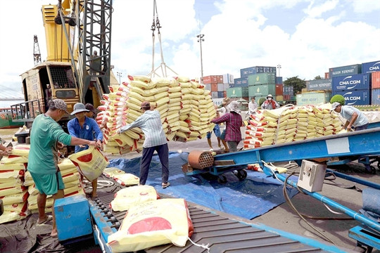 Vietnam likely earn US$5 billion from rice exports this year