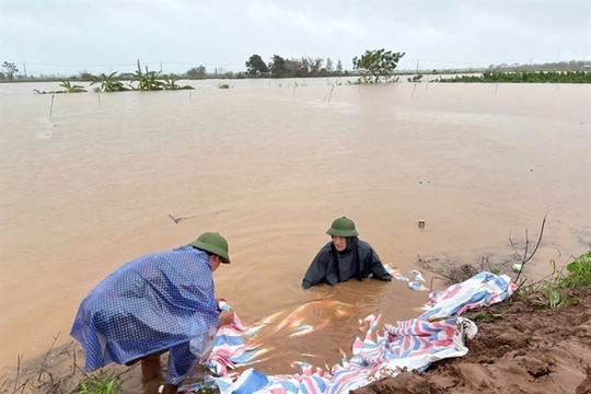 Northern provinces are slowly restored after Typhoon Yagi