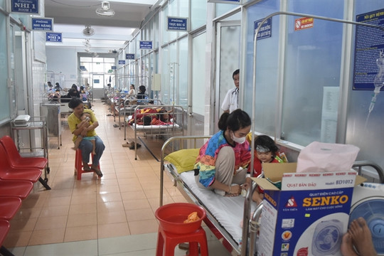 Dengue fever and measles risks overloading hospitals in Đắk Lắk