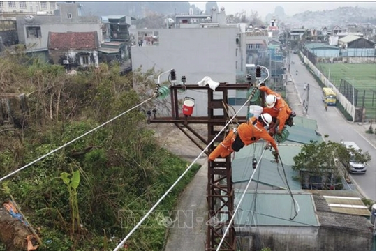 Power restored to nearly 99pct of typhoon-affected clients