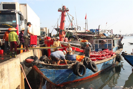 Thừa Thiên- Huế must tighten vessel control to fight IUU fishing: Deputy Minister