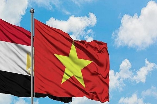 Vietnam reinforces all-around ties with Egypt