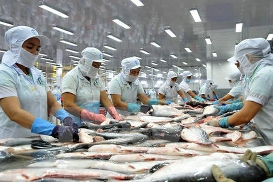 More Tra fish exporters exempted from US anti-dumping tax