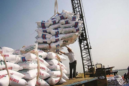 Vietnam imports nearly 3.5 million tonnes of fertiliser in eight months