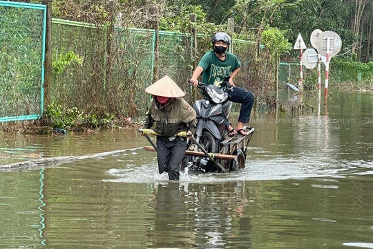 Dịch vụ xe bò "cõng" xe máy đắt khách trên Đại lộ Thăng Long