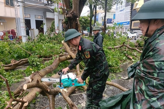 Quảng Ninh to provide emergency housing assistance after Typhoon Yagi

