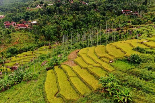 Chiêm ngưỡng cảnh sắc đẹp như tranh vẽ trên đỉnh Trường Sơn Đông