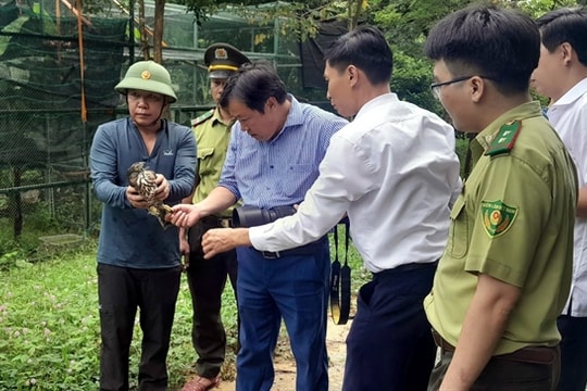 Quảng Bình returns 15 wild animals to natural habitat