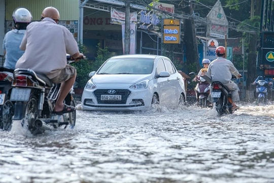 Cần Thơ takes urgent measures to address flooding, high tides