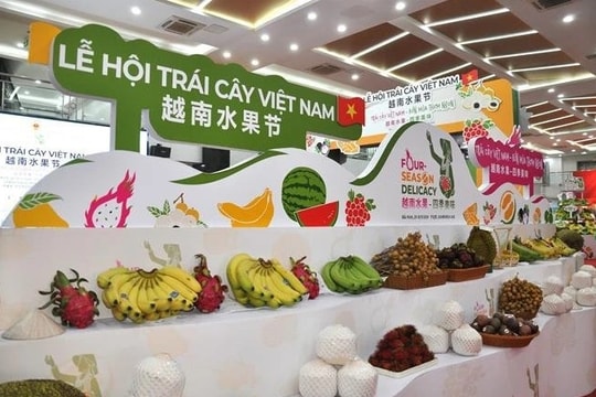 First Vietnam fruit festival opens in China