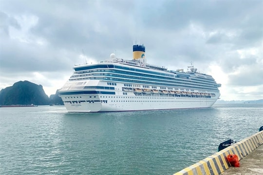 Cruise ship brings nearly 3,000 int'l guests to Hạ Long