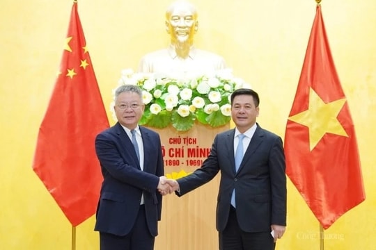 Vietnam, China seek stronger trade, industrial cooperation ties