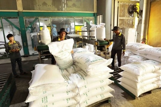 India officially lifts rice export ban