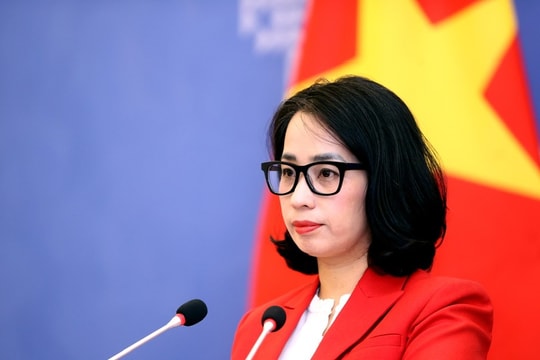 Vietnam resolutely opposes Chinese force's brutal behaviours towards Vietnamese fishermen: Spokeswoman